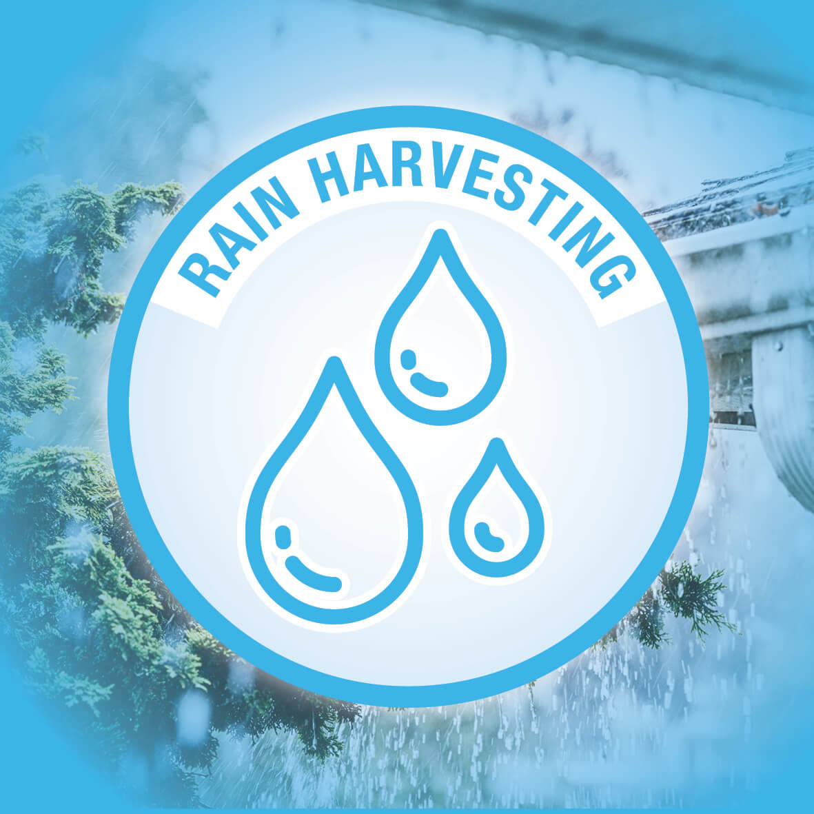 Rain Harvesting